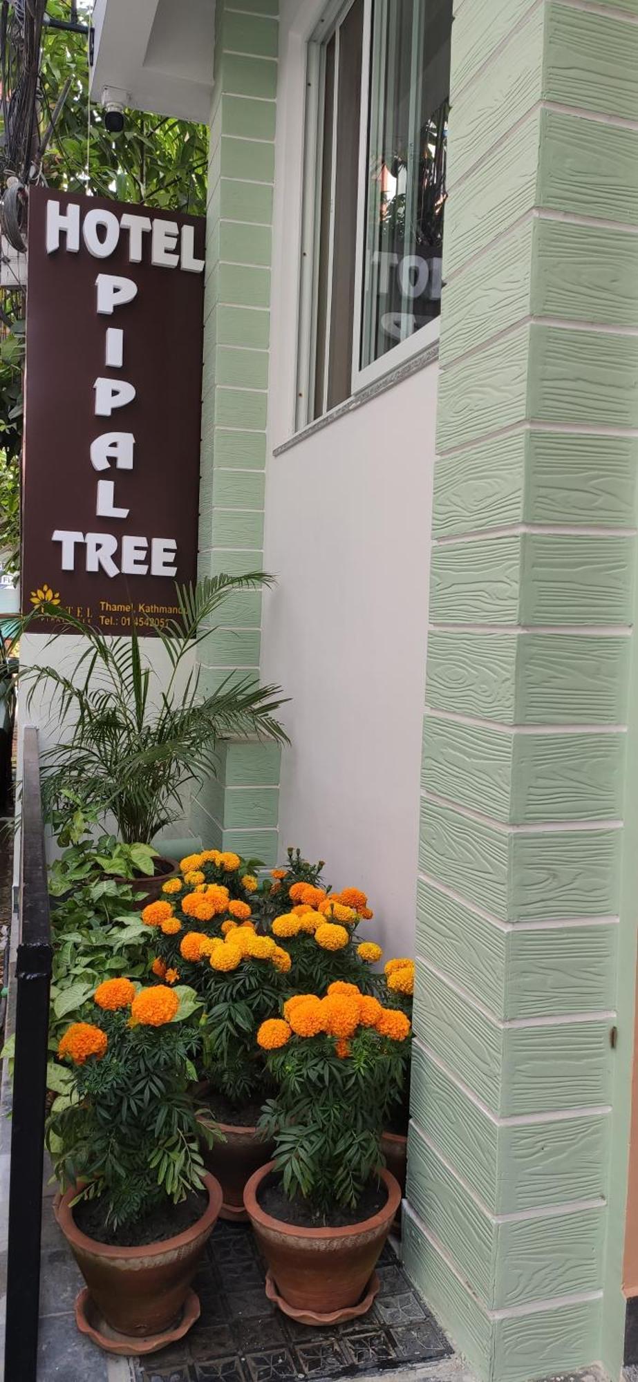 Hotel Pipal Tree Catmandu Exterior foto
